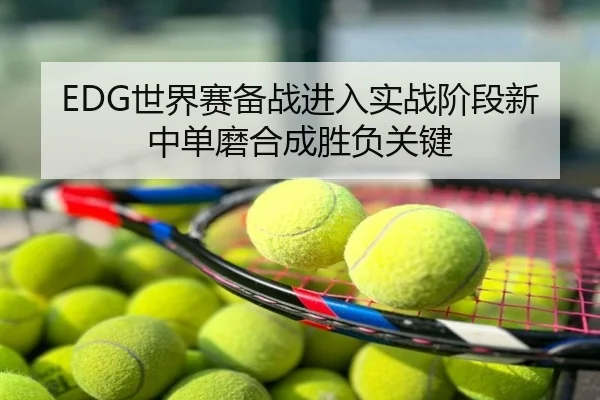 EDG世界赛备战进入实战阶段新中单磨合成胜负关键